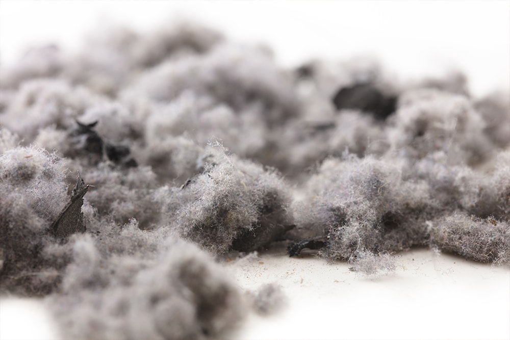 The Importance of Lint Trap Cleaning for Businesses in Las Vegas